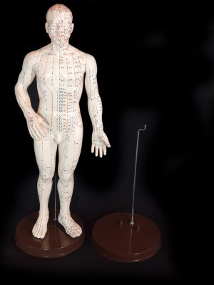 Antigua estatua de acupuntura china - Plástico - Soporte de plástico para estatua de acupuntura