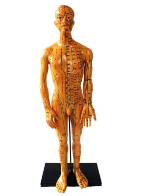 Antike chinesische Akupunktur-Statue - Plastik - Mann 2