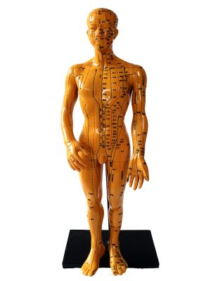 Antike chinesische Akupunktur-Statue - Plastik - Männlich 4