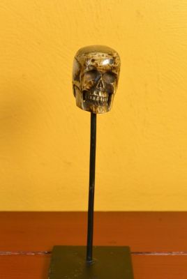 Estatua de Indonesia Hueso Cráneo