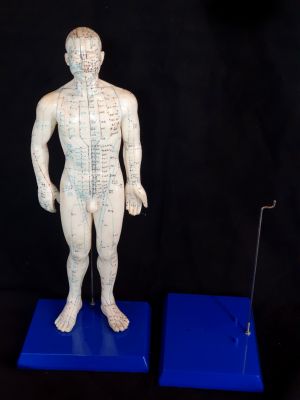 Soporte de plástico para estatua de acupuntura